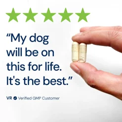Doggy Biome GMP Gut Maintenance Plus for Dogs, 60-count