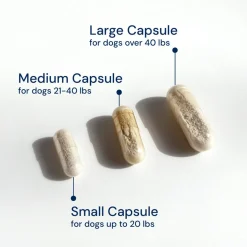 Doggy Biome GMP Gut Maintenance Plus for Dogs, 60-count