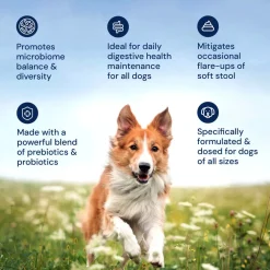 Doggy Biome GMP Gut Maintenance Plus for Dogs, 60-count
