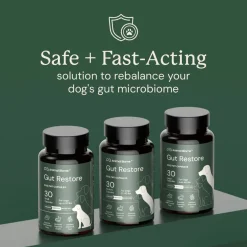 Doggy Biome Gut Restore Supplement FMT Capsules for Dogs