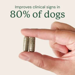 Doggy Biome Gut Restore Supplement FMT Capsules for Dogs
