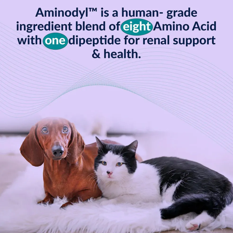 Doggy Naturals Aminodyl Advanced Kidney Support for Dogs & Cats, 120 capsules