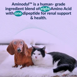 Doggy Naturals Aminodyl Advanced Kidney Support for Dogs & Cats, 120 capsules
