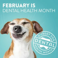 Dogswell Dental Chicken Recipe Jerky Treats For Dogs
