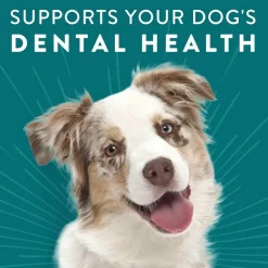 Dogswell Dental Chicken Recipe Jerky Treats For Dogs
