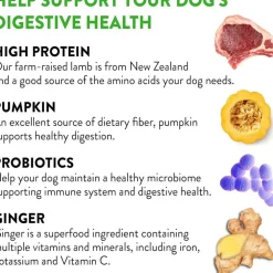 Dogswell Gut Health Lamb Jerky Treats for Dogs
