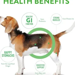 Dogswell Gut Health Lamb Jerky Treats for Dogs