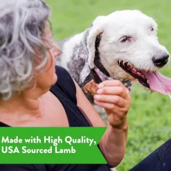 Dogswell Gut Health Lamb Jerky Treats for Dogs