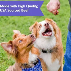 Dogswell Jerky Hip & Joint Beef Recipe Grain-Free Treats for Dogs 10 oz