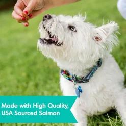 Dogswell Jerky Skin & Coat Salmon Grain-Free Treats for Dogs