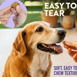 Dogswell Senior Health Mini Soft Strips Duck Recipe Treats For Dogs