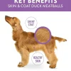 Dogswell Skin & Coat Duck Recipe Meatballs Treats for Dogs 14 oz