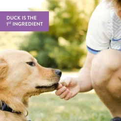 Dogswell Skin & Coat Duck Recipe Meatballs Treats for Dogs 14 oz