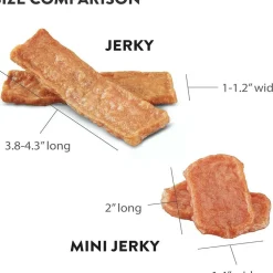 DogswellSkin & Coat Grain-Free Salmon Mini Jerky Bites for Dogs 4 oz