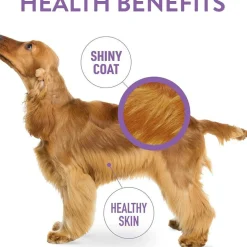 Dogswell Skin & Coat Soft & Chewy Salmon Flavored Treats for Dogs 14 oz
