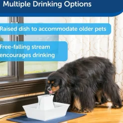 Drinkwell Pagoda Ceramic Pet Water Fountain