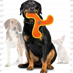 Duraforce Jr Boomerang Dog Toy Orange & Yellow