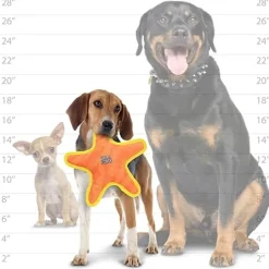 Duraforce Star Tiger Orange & Yellow Dog Toy