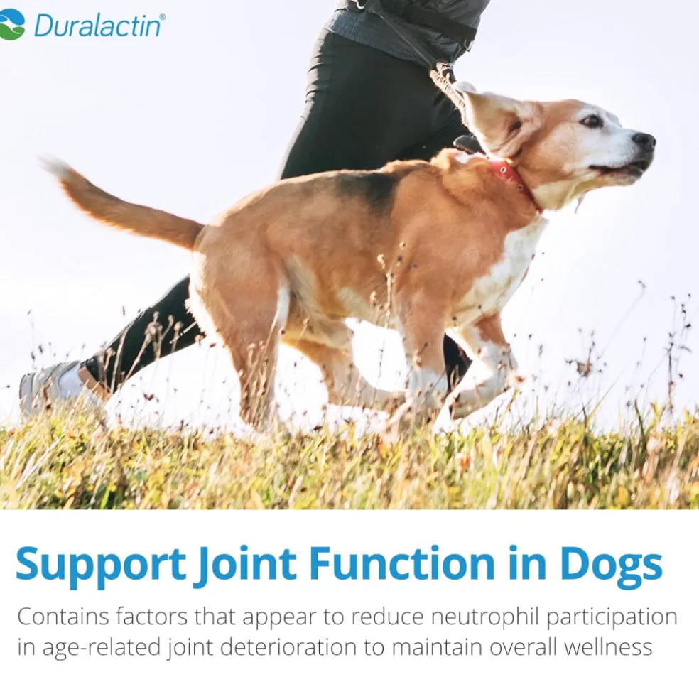 Duralactin Canine Chewable for Dogs