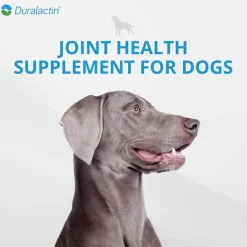 Duralactin Canine Chewable for Dogs