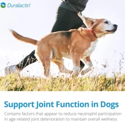 Duralactin Canine Soft Chews for Dogs