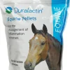 Duralactin Equine Pellets (1.875 lbs)