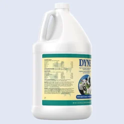 Dyne High Calorie Liquid Livestock Supplement