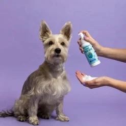 Earthbath Bilberry & Blueberry Foaming Facial Wash for Dogs & Cats (8 oz)