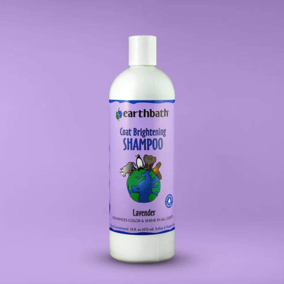Earthbath Light Color Coat Brightening Lavender Shampoo for Dogs & Cats (16 oz)