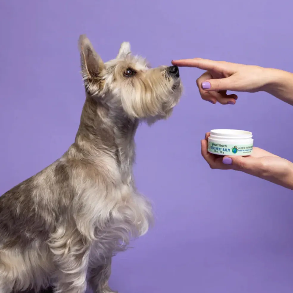 Earthbath Treatment Balm for Cracked Paws Noses & Hot Spots For Dogs & Cats (2.2 oz)