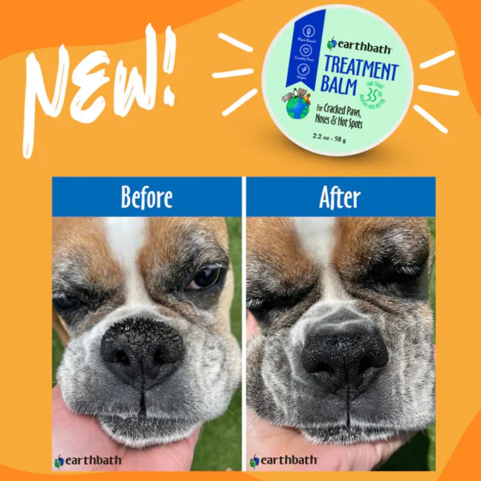 Earthbath Treatment Balm for Cracked Paws Noses & Hot Spots For Dogs & Cats (2.2 oz)