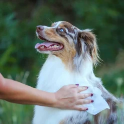 Earthbath Ultra-Mild Wild Cherry Grooming Wipes for Puppies