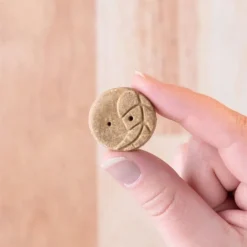 Earthborn Holistic EarthBites Turkey & Pumpkin Crunchy Dog Treats