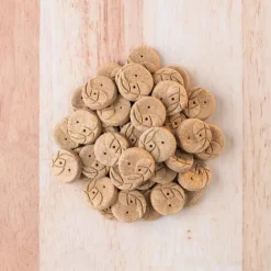 Earthborn Holistic EarthBites Lamb & Pumpkin Crunchy Treats For Dogs