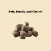 Earthly Off Leash Mini Trainers Roasted Peanut Recipe Dog Treats (5 oz)