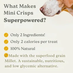Earthly Pet Mini Crisps Air Puffed Millet & Beef Dog Treats (2.5 oz)