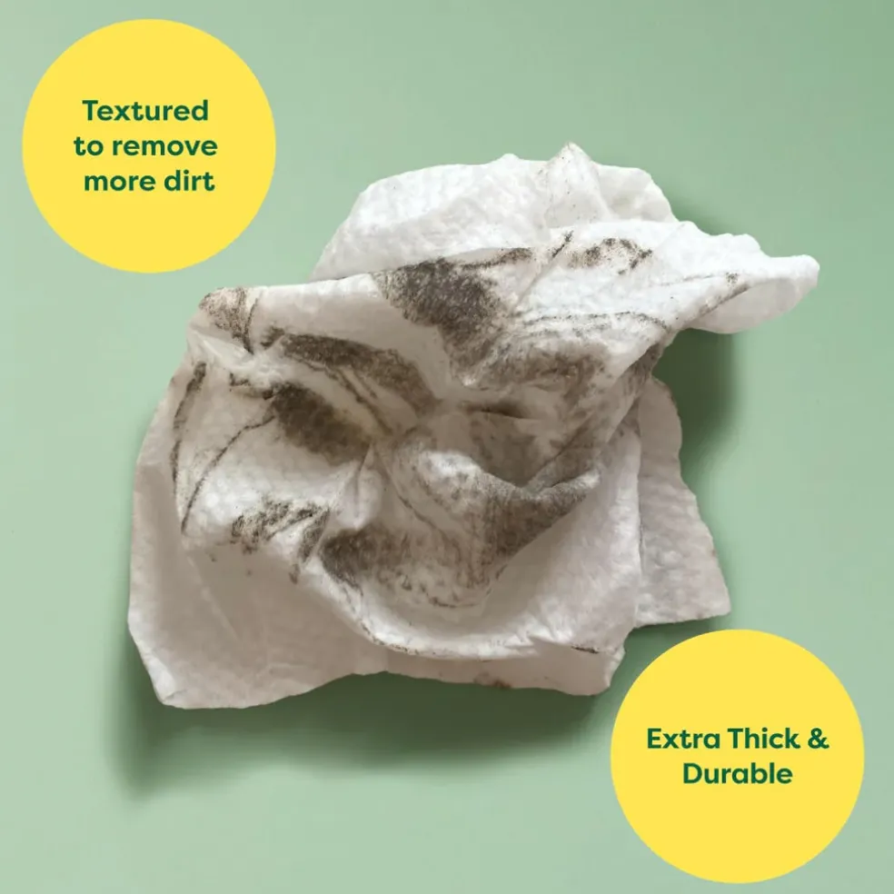 Earth Rated Hypoallergenic Dog Grooming Wipes, Unscented (100 count)