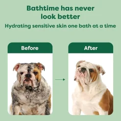 Earth Rated 3-in-1 Short Coat White Tea & Basil Shampoo & Conditioner for Dogs (16 oz)