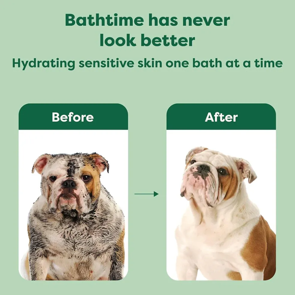 Earth Rated 3-in-1 Short Coat White Tea & Basil Shampoo & Conditioner for Dogs (16 oz)