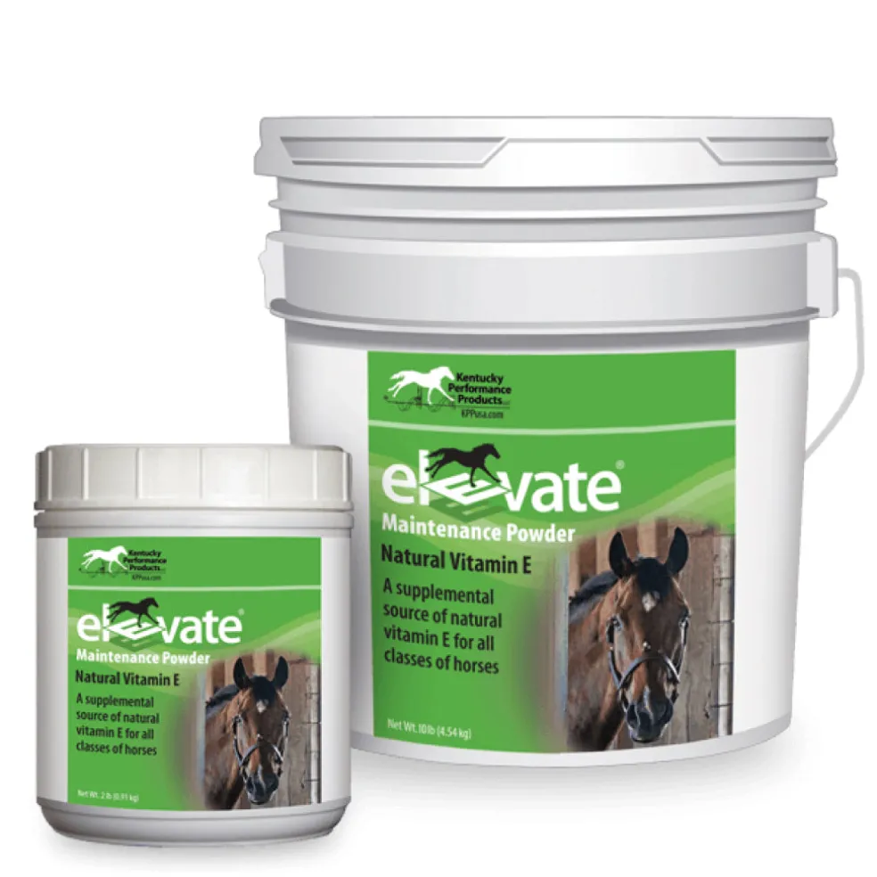 Elevate Maintenance Powder Vitamin E for Horses