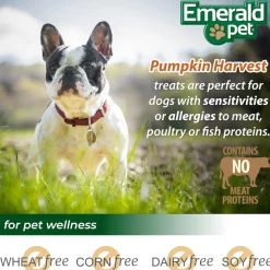 Emerald Pet Pumpkin Harvest Mini Trainers Pumpkin Recipe Dog Treats, 6-oz