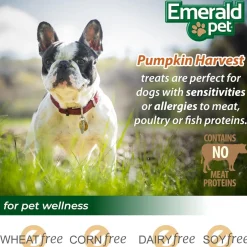 Emerald Pet Pumpkin Harvest Mini Trainers Pumpkin Recipe with Banana Dog Treats, 6-oz