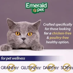 Emerald Pet Wholly Fish! Salmon Recipe Grain-Free Crunchy Cat Treats (3 oz)