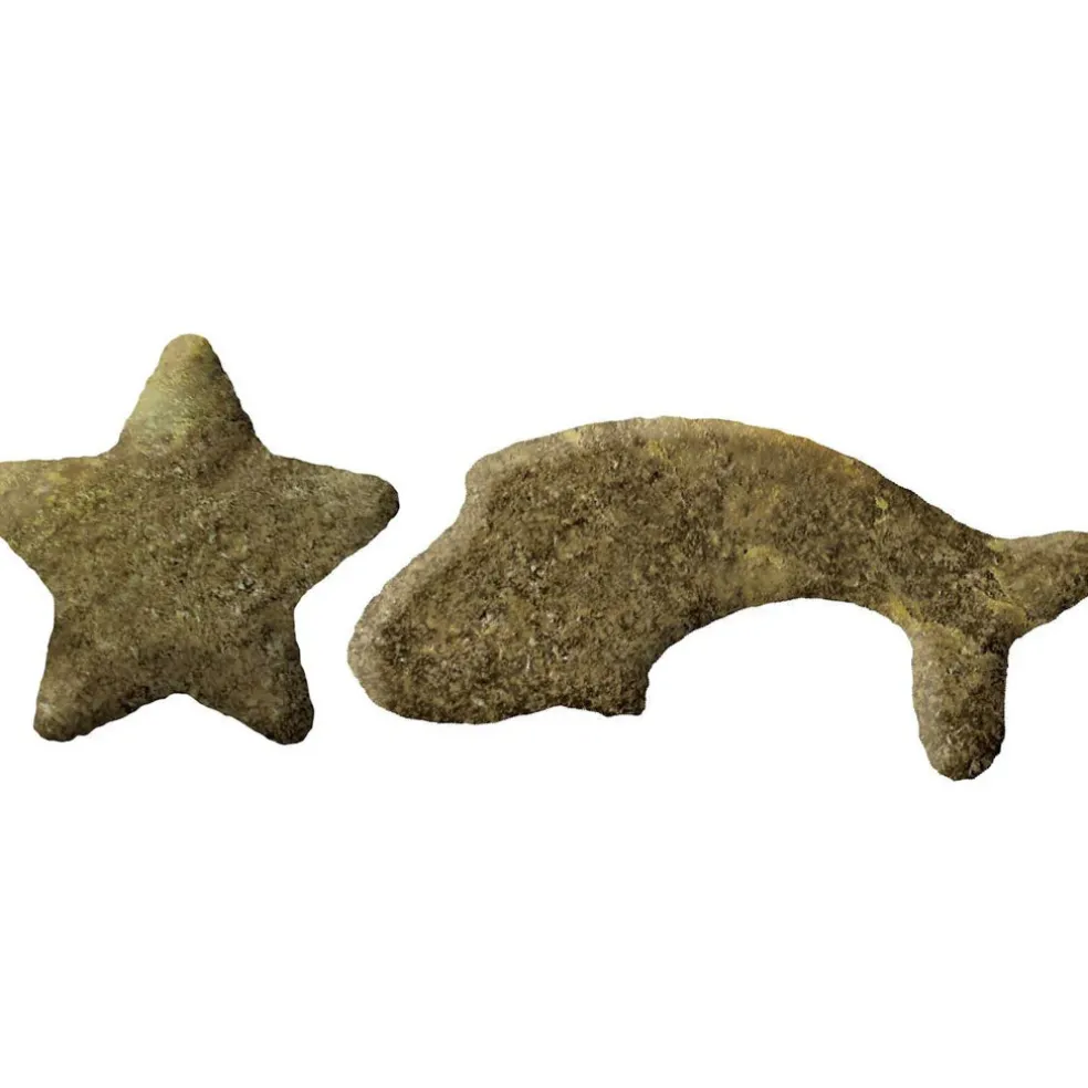Emerald Pet Wholly Fish! Tuna Recipe Grain-Free Crunchy Cat Treats (3 oz)