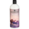 Equiderma Sheath Cleaner For Horses (32 oz)