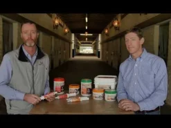 Equine ADD BioClay Plus (single tube)