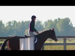 Eq-Well Vitamin-Mineral Supplement for Horses