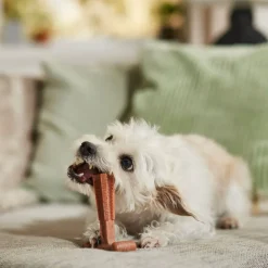 Ethical Bambone Plus Beef Toy For Dogs