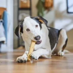 Ethical Bambone Plus Stick Chicken Toy For Dogs (9.5