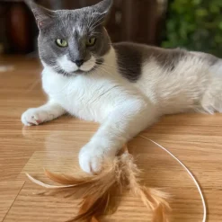 Ethical Fishing Rod N Reel Kitty Teaser Toy For Cats